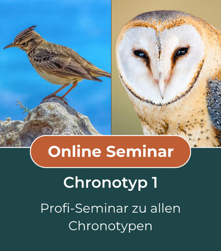 Online-Seminar Chronotyp 1