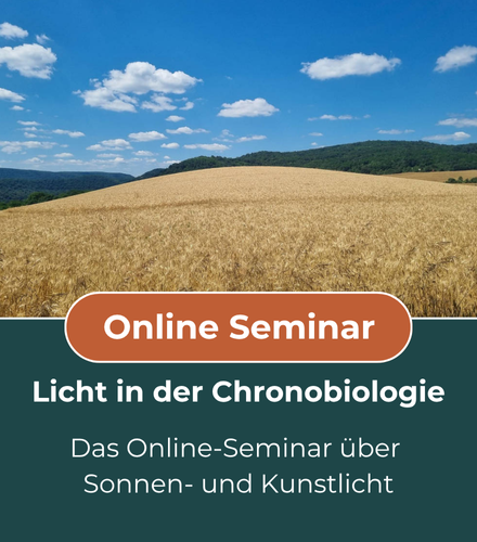 Online-Seminar Licht