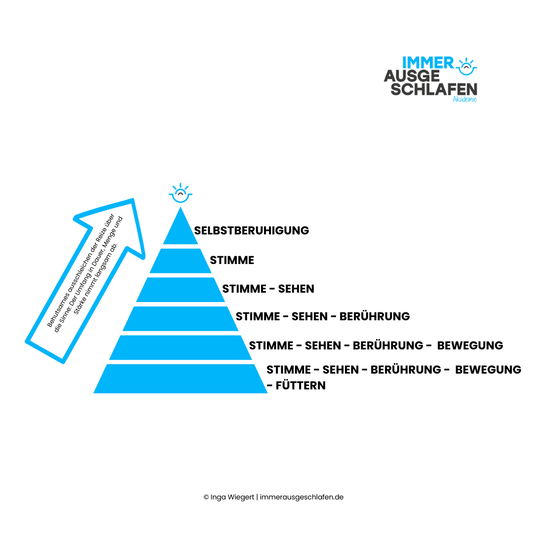 Ganzheitlicher Schlafcoach für Babys und (Klein-)Kinder - ZFU zertifizierte Ausbildung