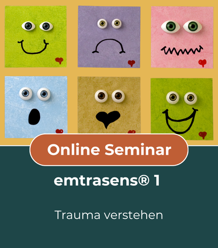 Online-Seminar emtrasens® 1 - Trauma verstehen