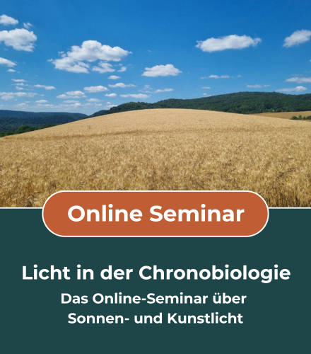 Licht - Das Online-Seminar zu Sonnen- und Kunstlicht